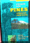 pfmex.jpg (33844 bytes)
