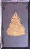 vtch81cvr.jpg (25003 bytes)